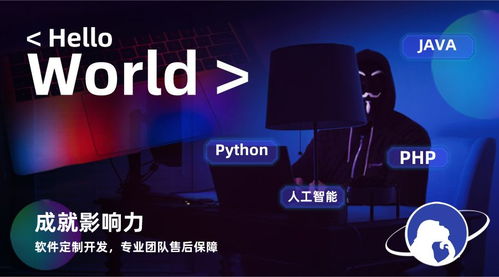 系統(tǒng)定制開發(fā)